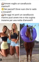 IMG-20190817-WA0002.jpg