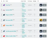 Screenshot_2019-09-13 Racecard Coolmore 'Fastnet Rock' Matron Stakes (Group 1).png