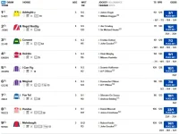 Screenshot_2019-10-18 4 00 Ascot Standard Racecard 19 October 2019 Racing Post.png