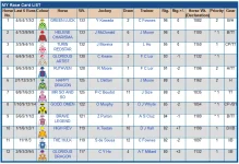 Screenshot_2019-12-04 The Hong Kong Jockey Club.webp