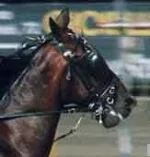 Screenshot_2020-02-22 Ippica Biz - Scheda Cavallo.png