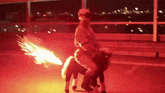 SaneMediocreBull-max-1mb.gif