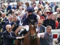 attheraces_e6adfd61-8b17-4049-bdfa-eb348e45c563_300.jpg attheraces_e6adfd61-8b17-4049-bdfa-eb348e45c563_300.jpg