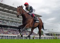 cracksman 1.jpg