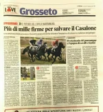 casalone.webp