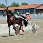 michele-bechis.webp
