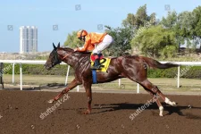 dubai-horse-racing-jebel-ali-racecourse-dubai-united-arab-emirates-shutterstock-editorial-100...webp