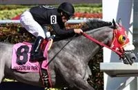 X_Y_Jet_Sun_Mil_Sprint_2016_615x400_thumb.jpg X_Y_Jet_Sun_Mil_Sprint_2016_615x400_thumb.jpg