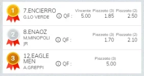 Immagine.webp Immagine.webp
