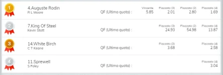 Immagine.webp Immagine.webp