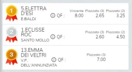 Immagine.webp Immagine.webp
