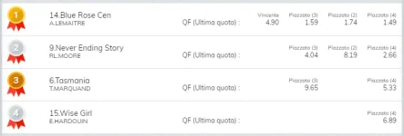 Immagine.webp