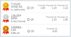 Immagine.webp Immagine.webp