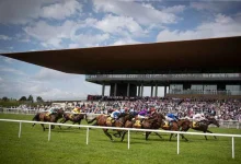 1692251784426.webp