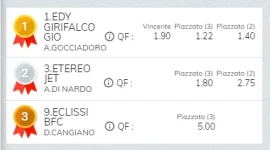 Immagine.webp Immagine.webp