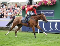 1693727934178.webp