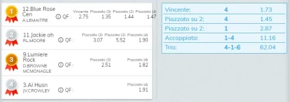 Immagine.webp Immagine.webp