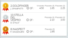 Immagine.webp Immagine.webp