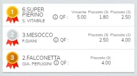 Immagine.webp Immagine.webp