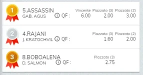 Immagine.webp
