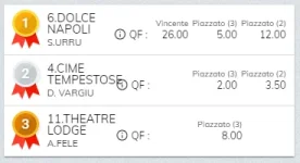 Immagine.webp