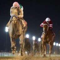 Arrogate